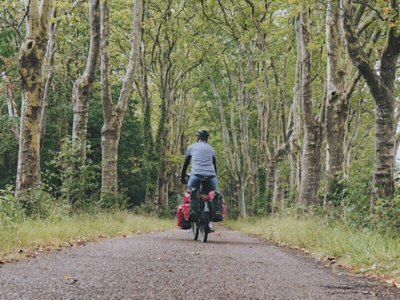 Tour de bourgogne à vélo, à travers les vignobles